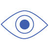 vision icon